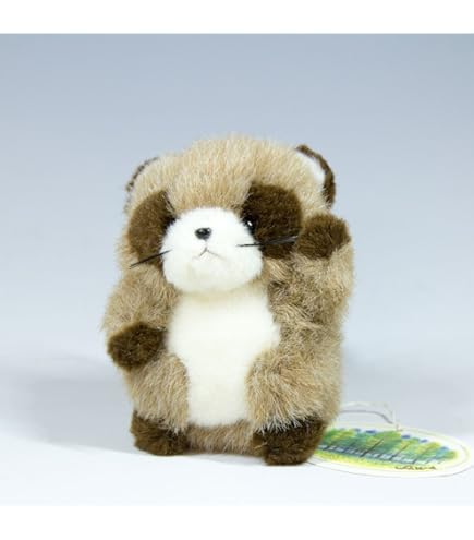 Amazon.co.jp: たぬきのぽんぽん BIGぬいぐるみ たぬき 狸 タヌキ